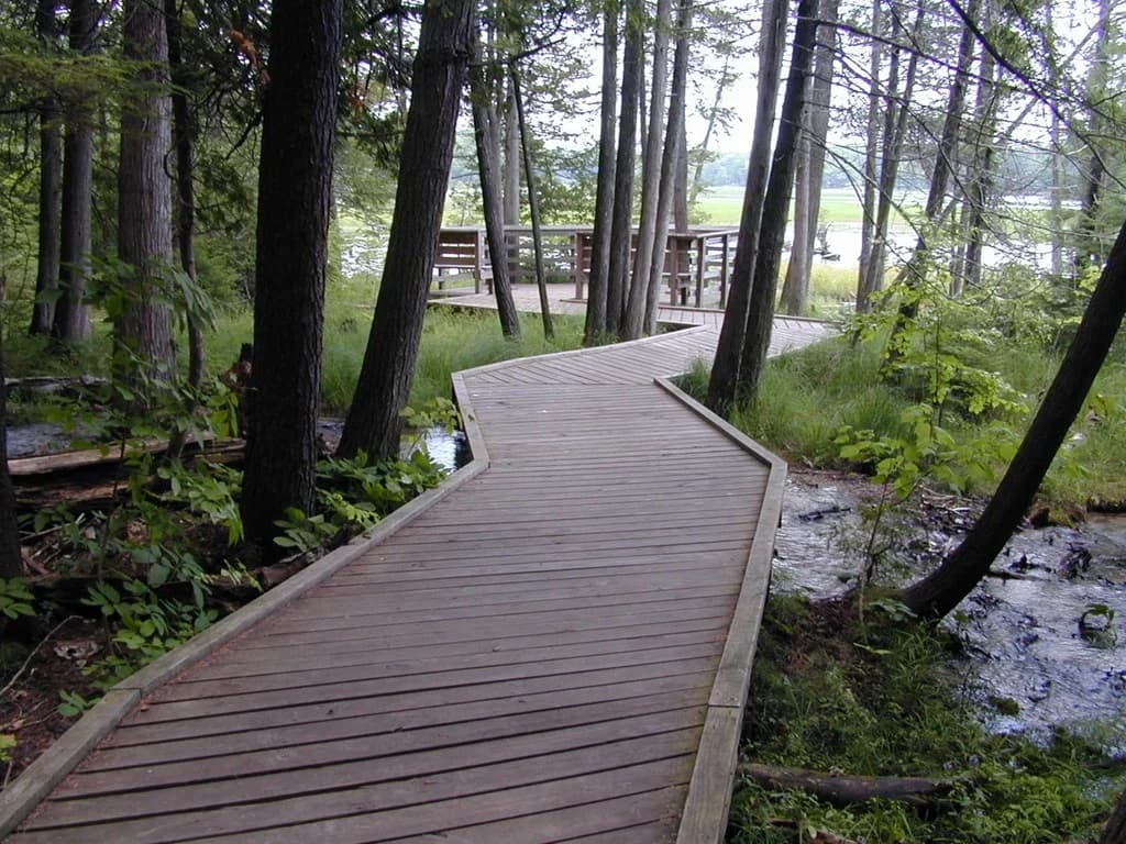 Iargo Springs