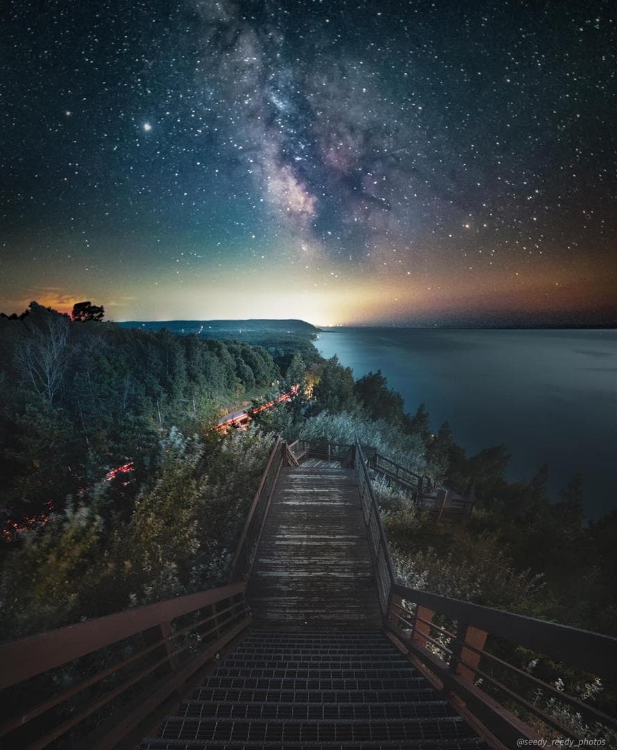 Manistee National Forest under the stars