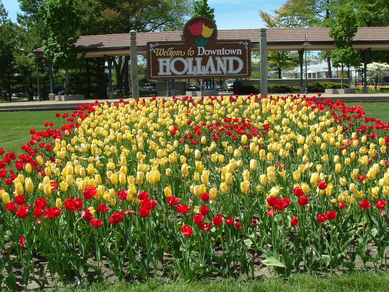 Holland_MI_Tulips_01